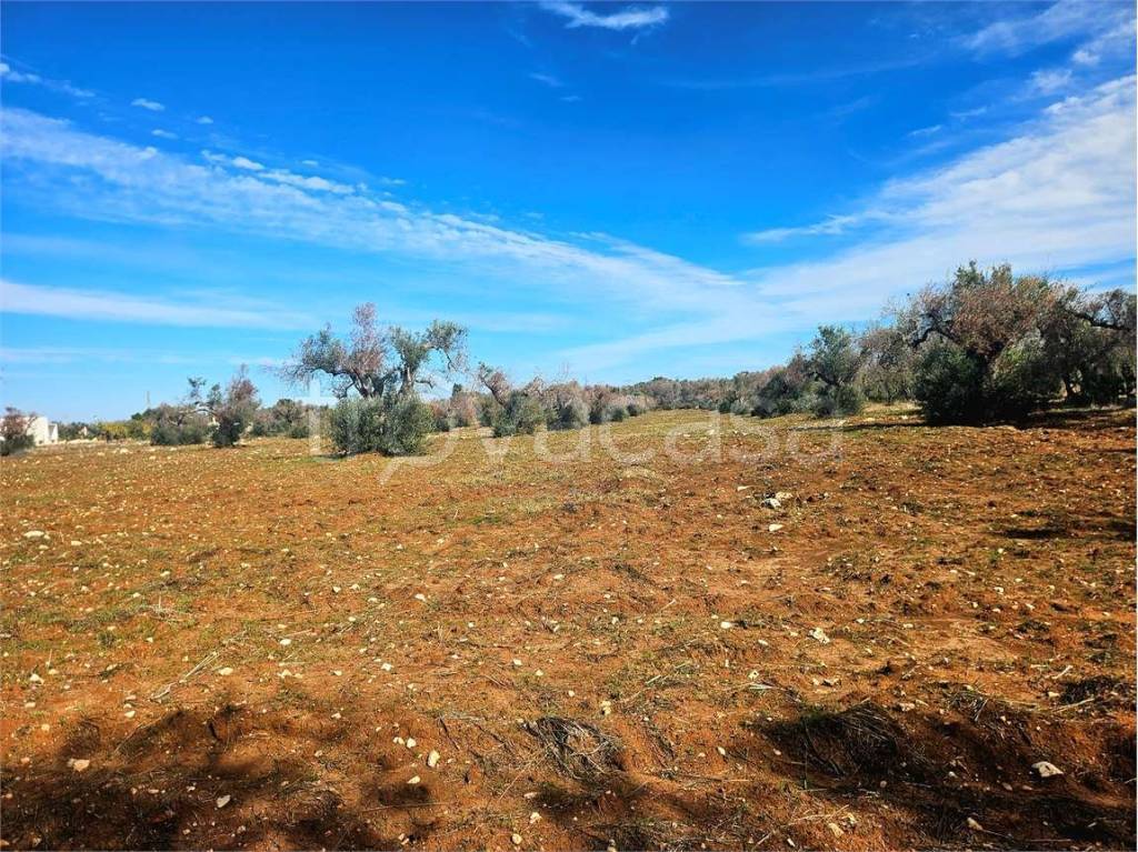 immagine annuncio 4 di 7