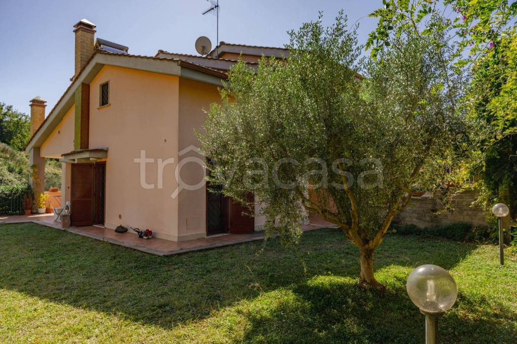 immagine annuncio 9 di 15