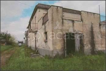 immagine annuncio 4 di 6