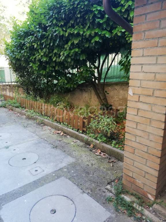 immagine annuncio 1 di 9