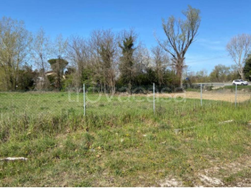 immagine annuncio 5 di 12