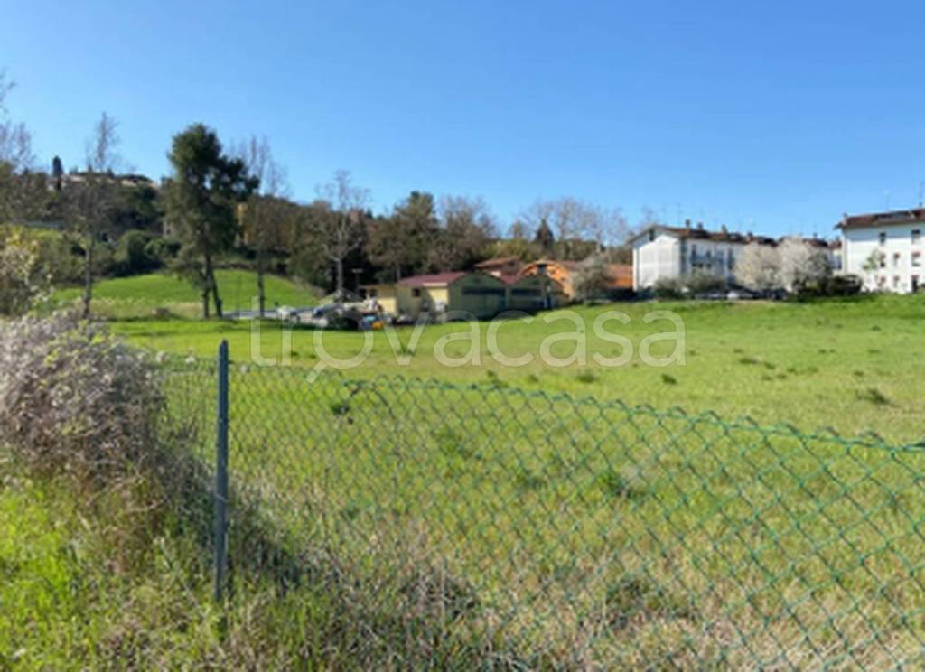 immagine annuncio 11 di 12