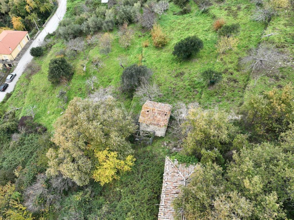 immagine annuncio 4 di 14