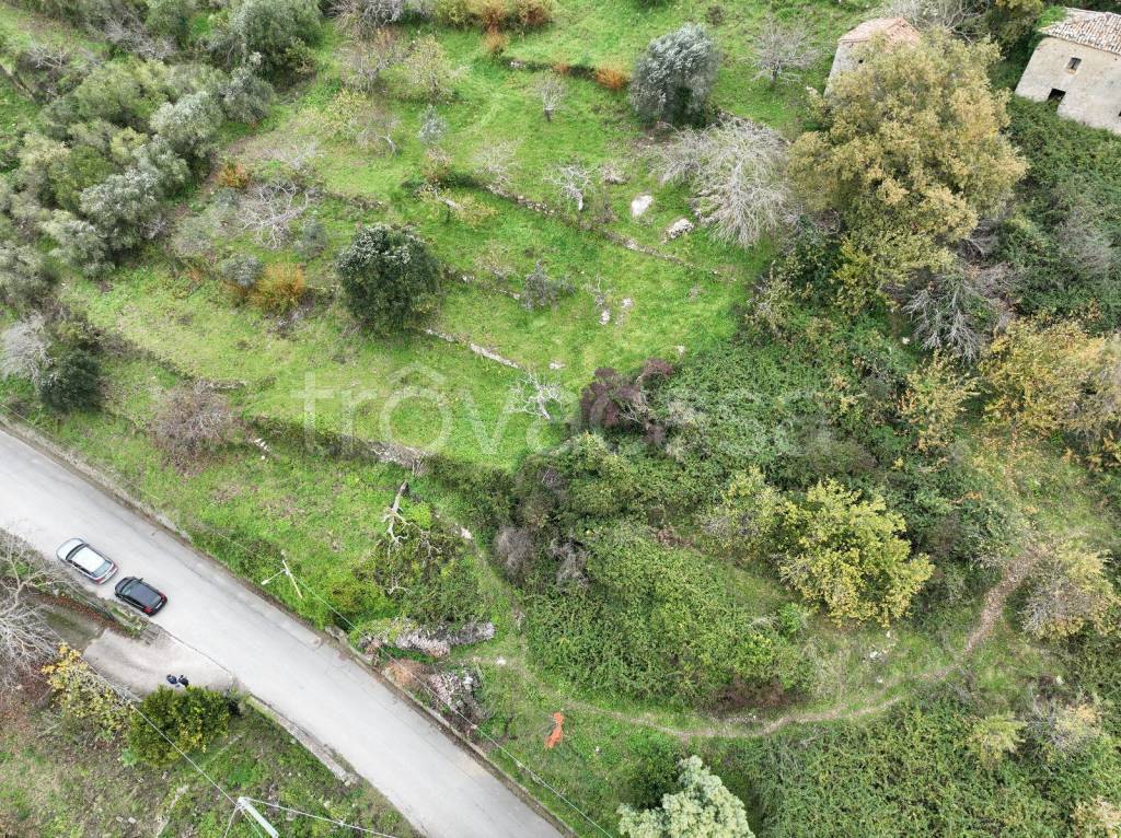 immagine annuncio 11 di 14