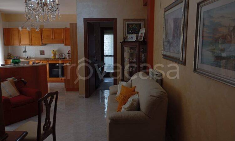 immagine annuncio 9 di 13