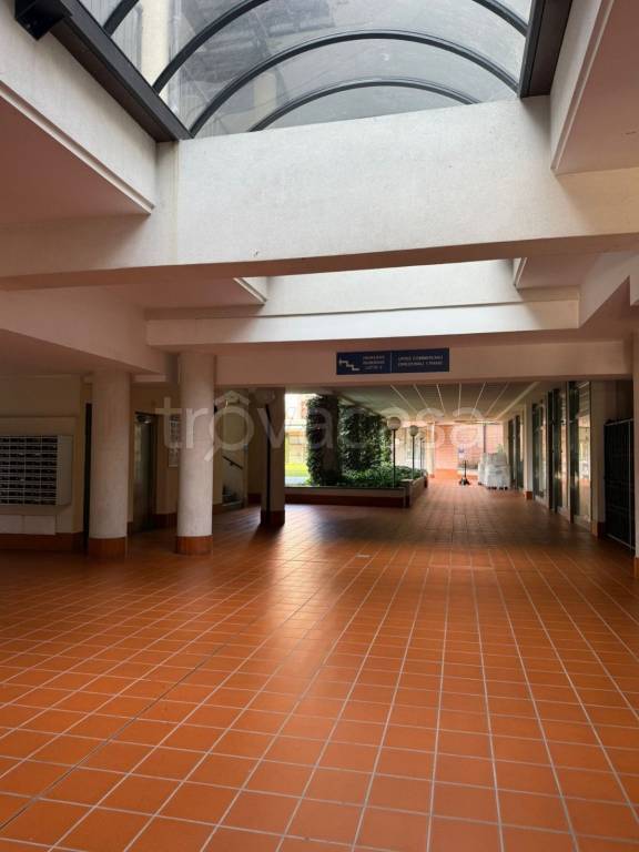 immagine annuncio 3 di 14