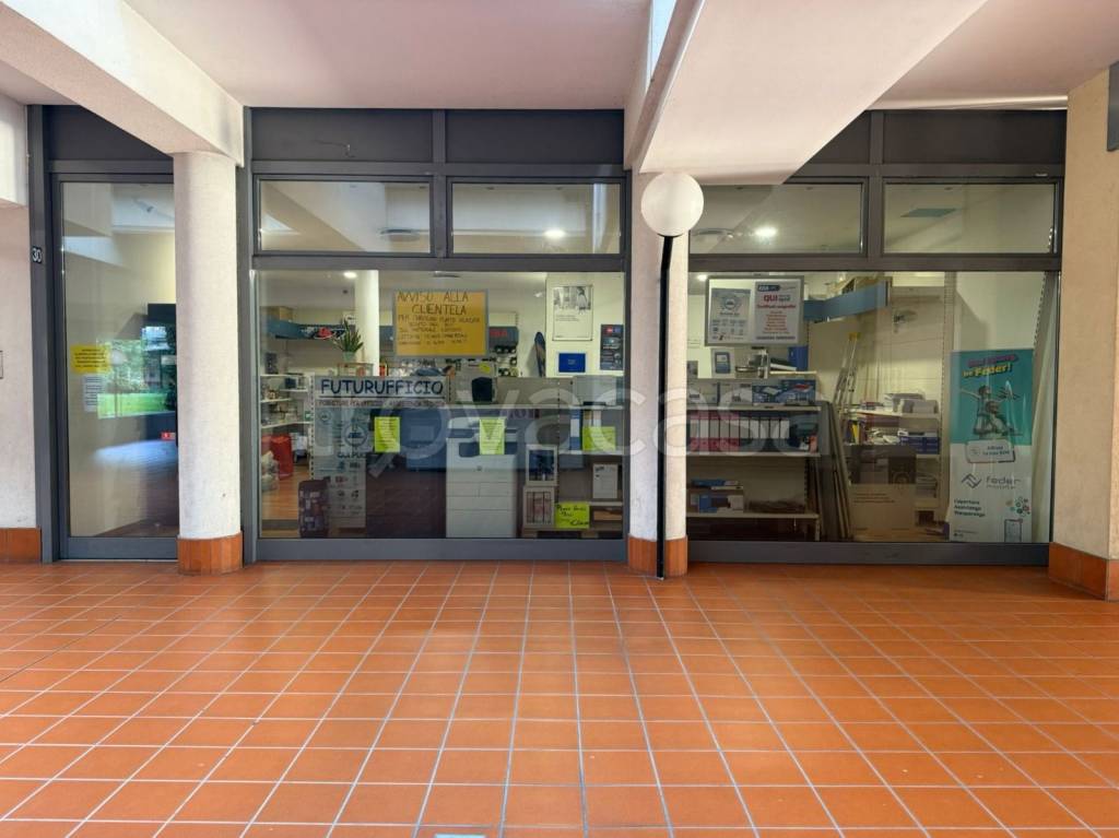 immagine annuncio 4 di 14