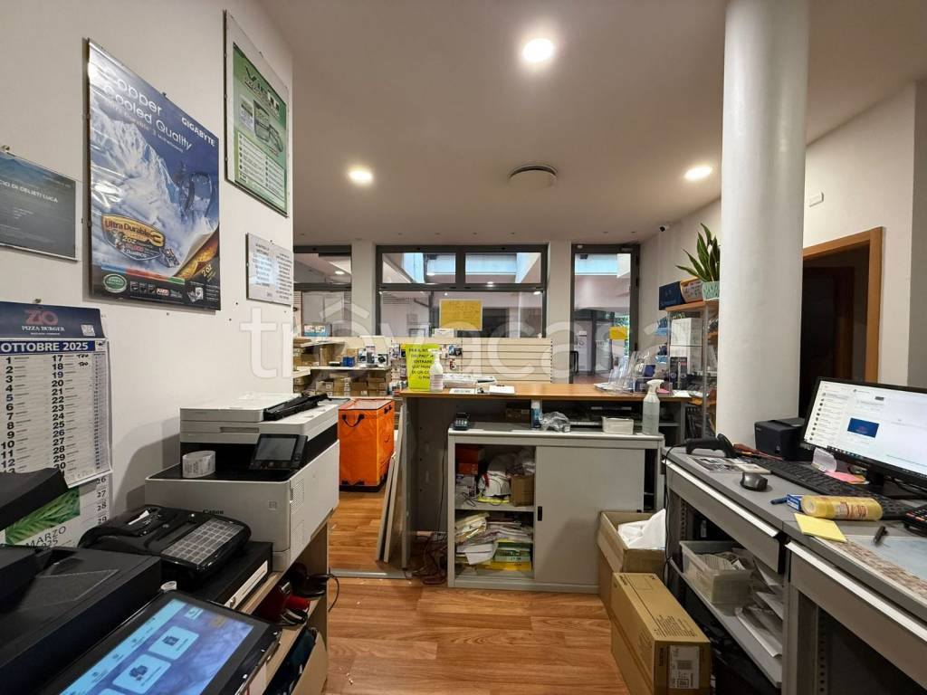 immagine annuncio 6 di 14