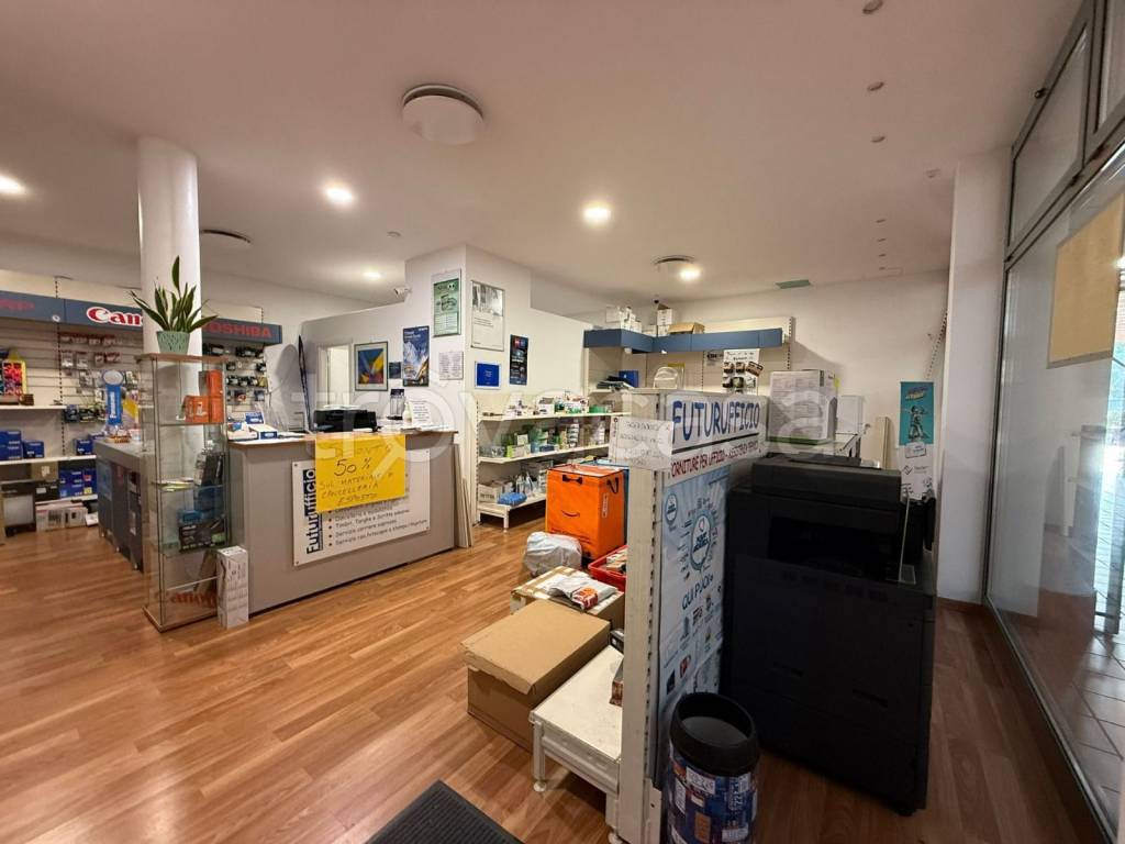 immagine annuncio 11 di 14