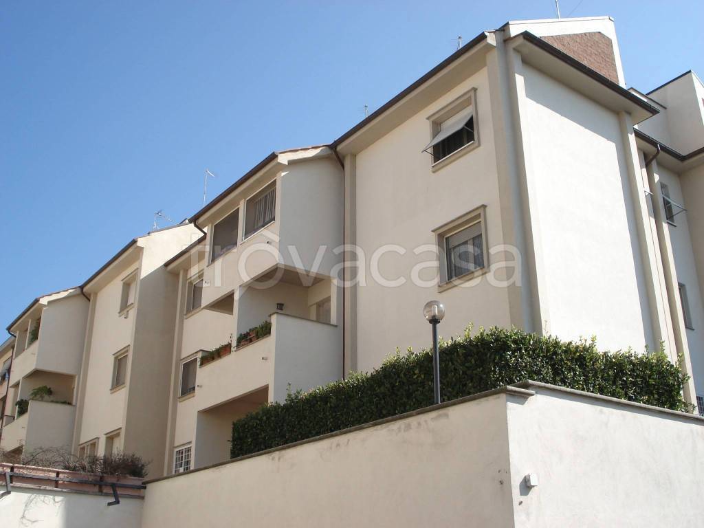 immagine annuncio 3 di 14