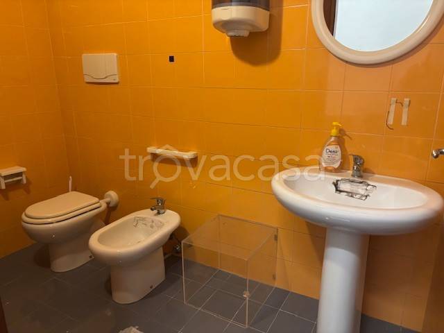 immagine annuncio 7 di 14