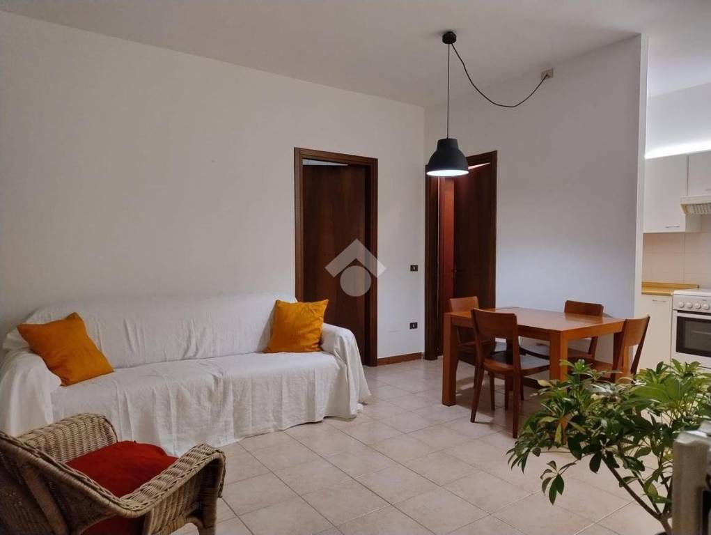 immagine annuncio 2 di 12