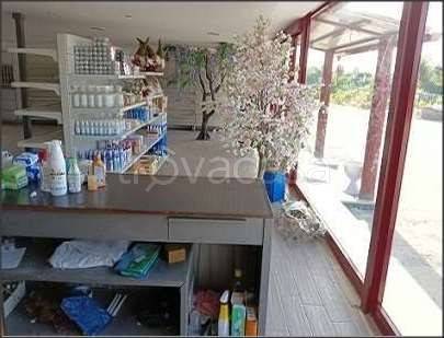 immagine annuncio 8 di 9