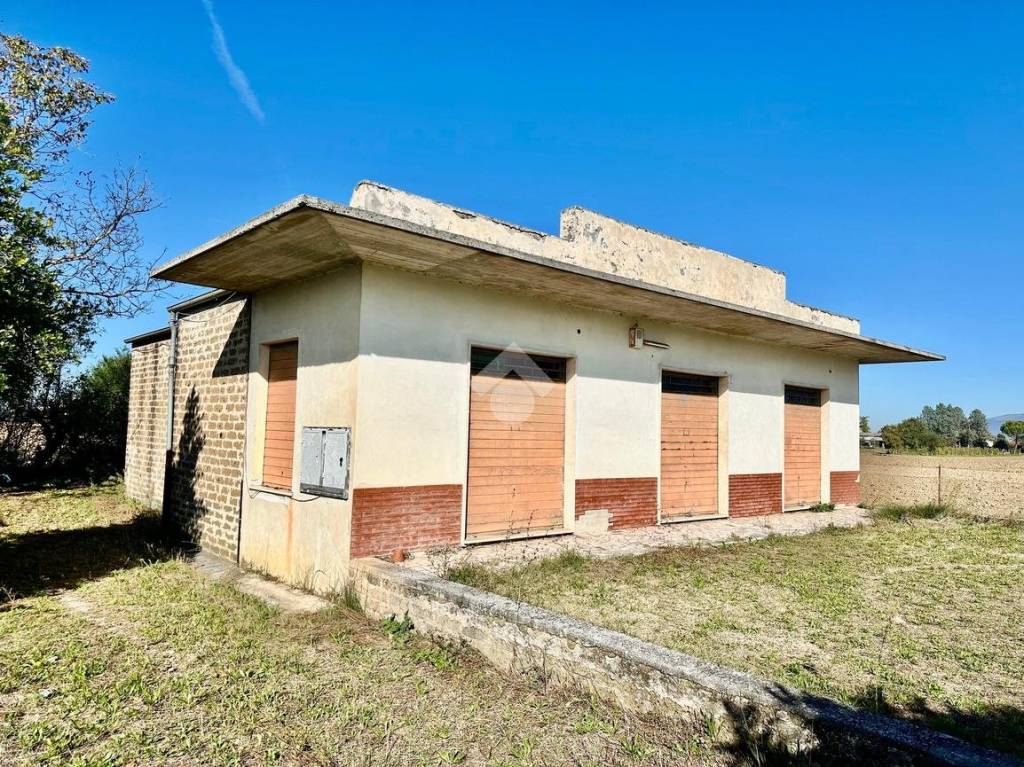 immagine annuncio 1 di 14