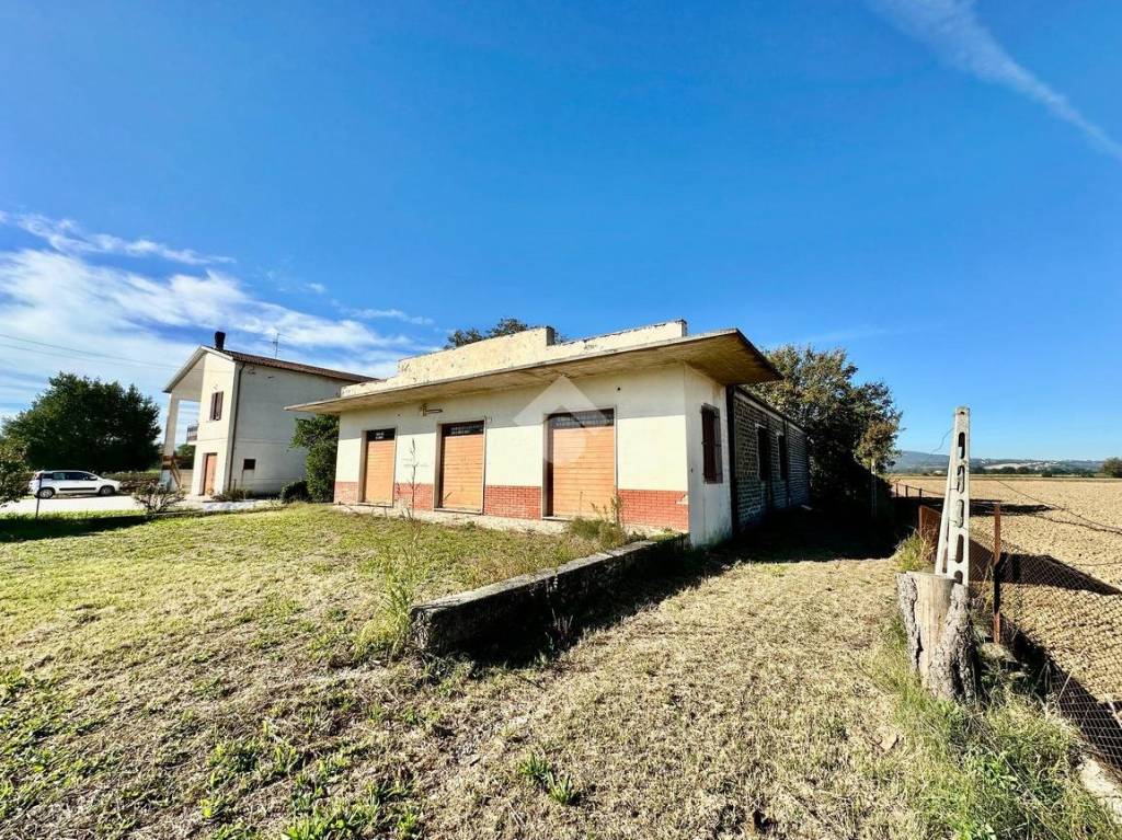 immagine annuncio 3 di 14