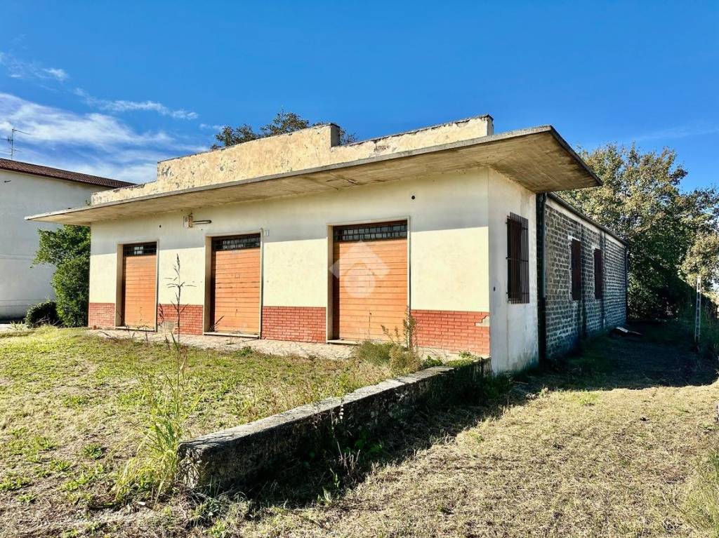 immagine annuncio 7 di 14