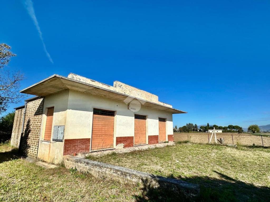 immagine annuncio 8 di 14