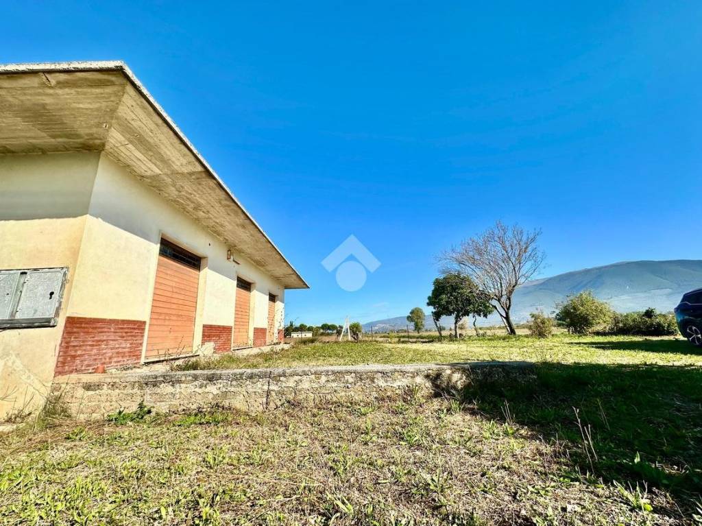 immagine annuncio 9 di 14