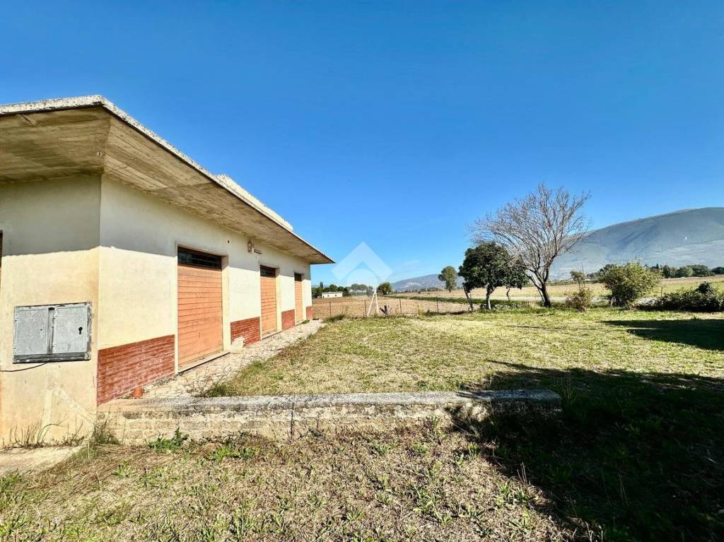 immagine annuncio 10 di 14