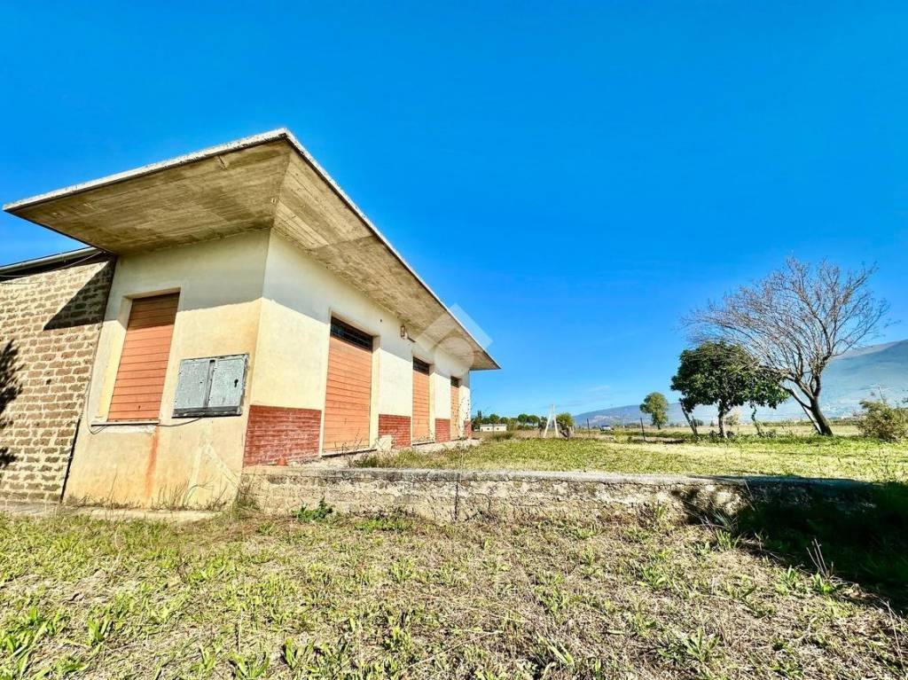 immagine annuncio 12 di 14