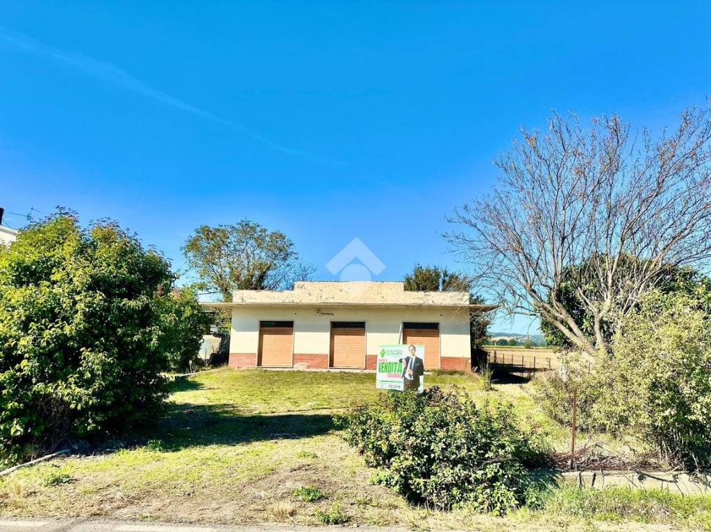 immagine annuncio 13 di 14