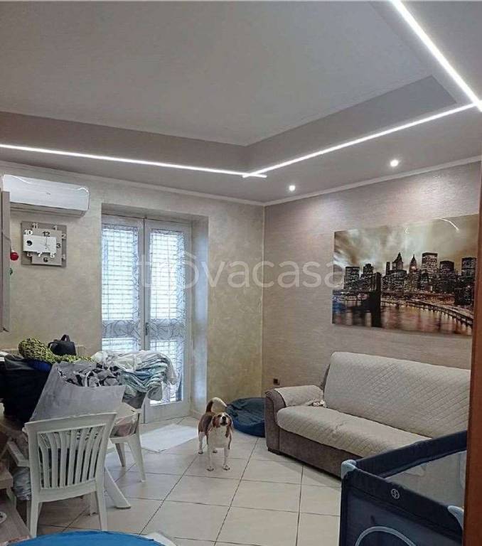 immagine annuncio 1 di 9