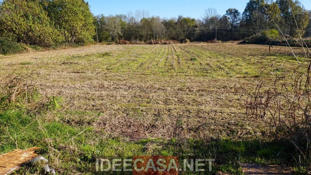 immagine annuncio 4 di 12