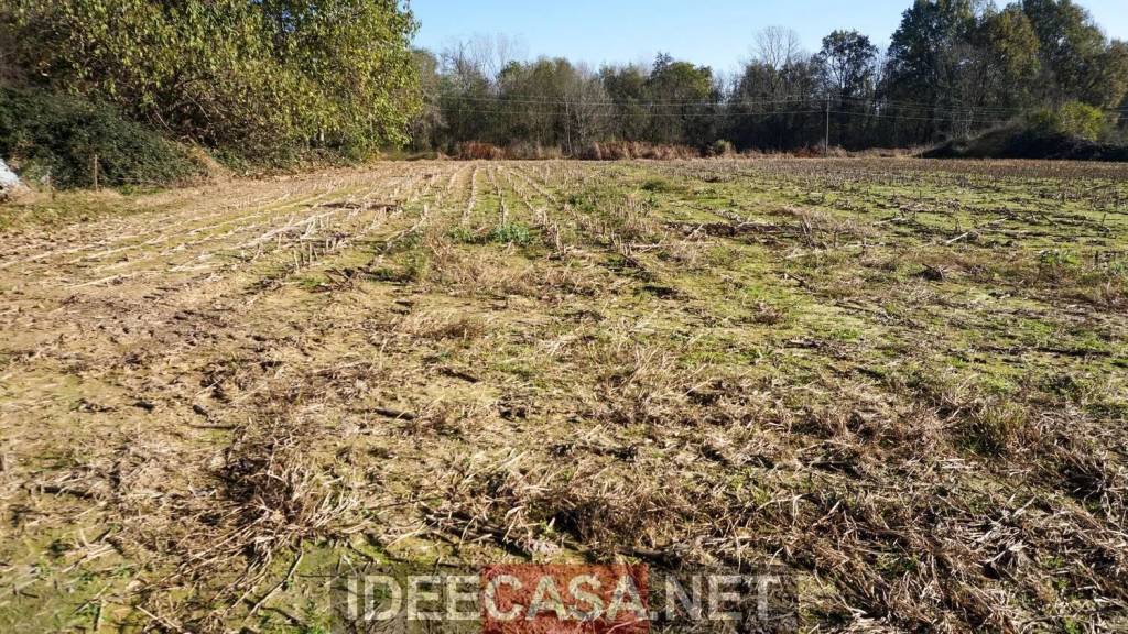 immagine annuncio 8 di 12