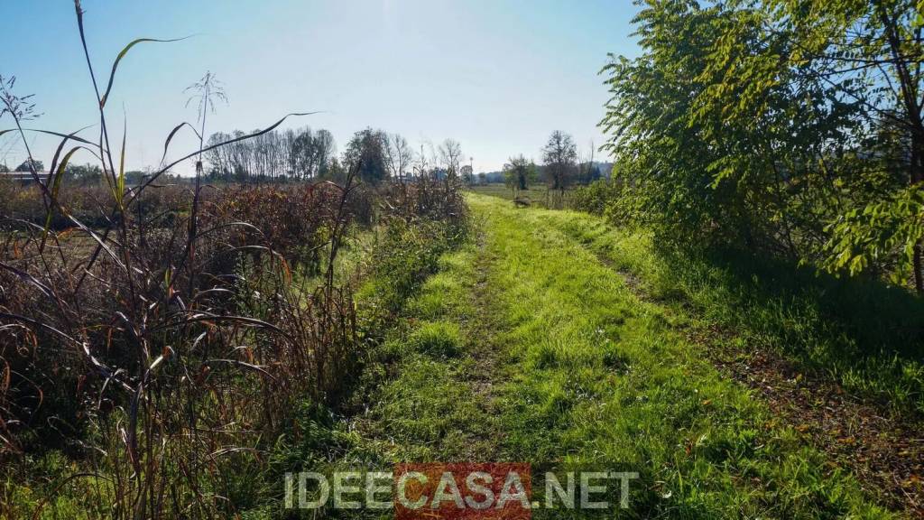 immagine annuncio 9 di 12