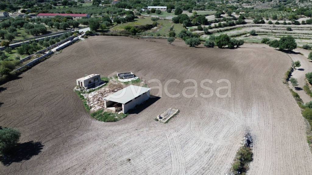 immagine annuncio 6 di 14