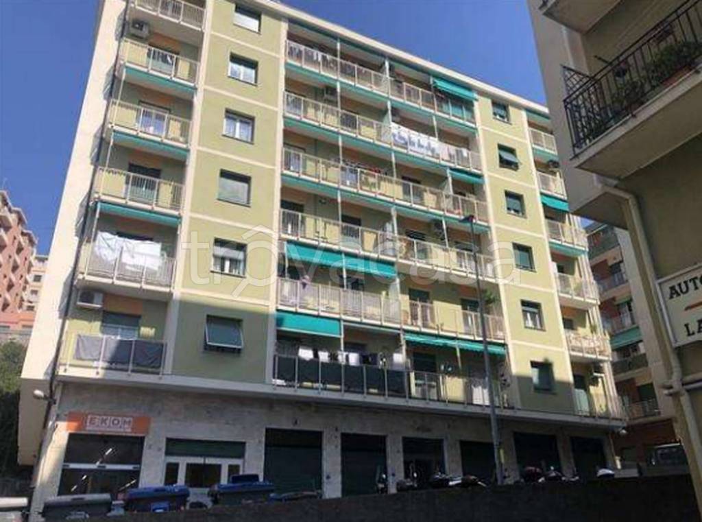 immagine annuncio 11 di 12