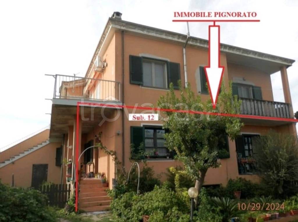 immagine annuncio 10 di 11