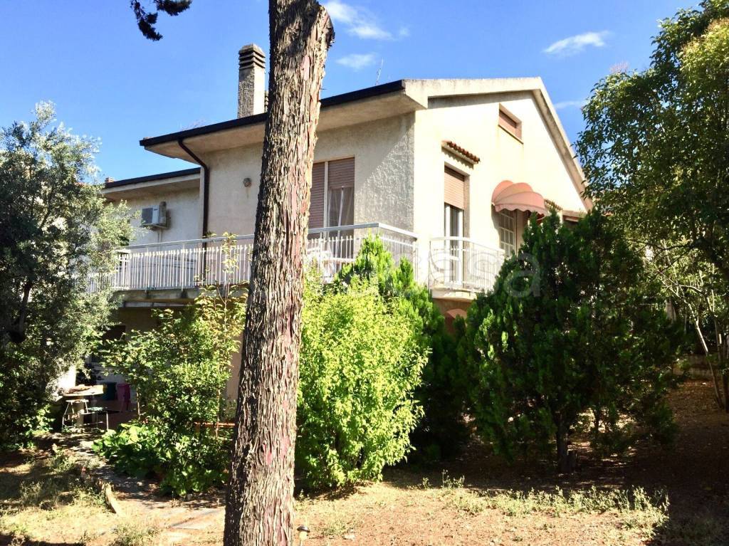 immagine annuncio 6 di 14