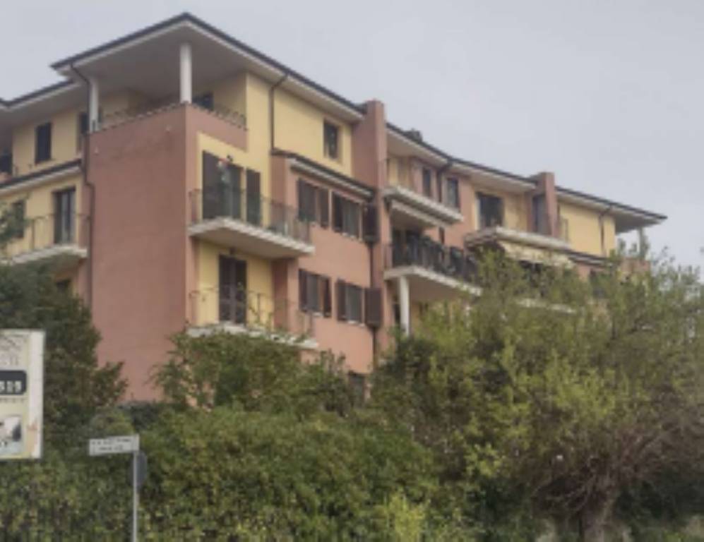 immagine annuncio 2 di 11