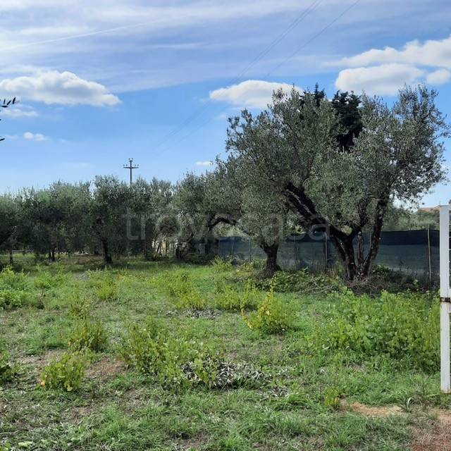 immagine annuncio 1 di 12