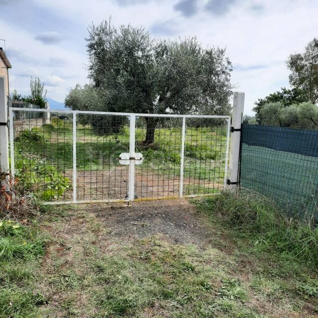 immagine annuncio 9 di 12