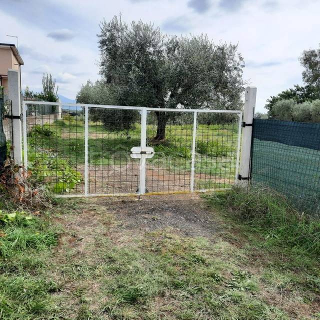 immagine annuncio 10 di 12