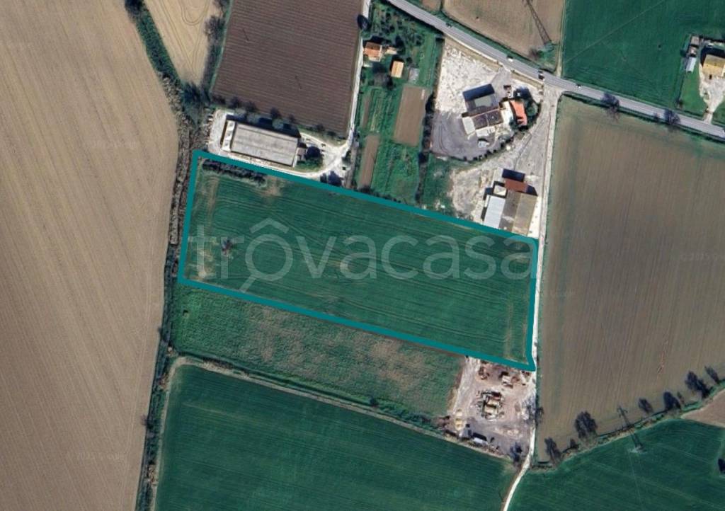 immagine annuncio 7 di 10