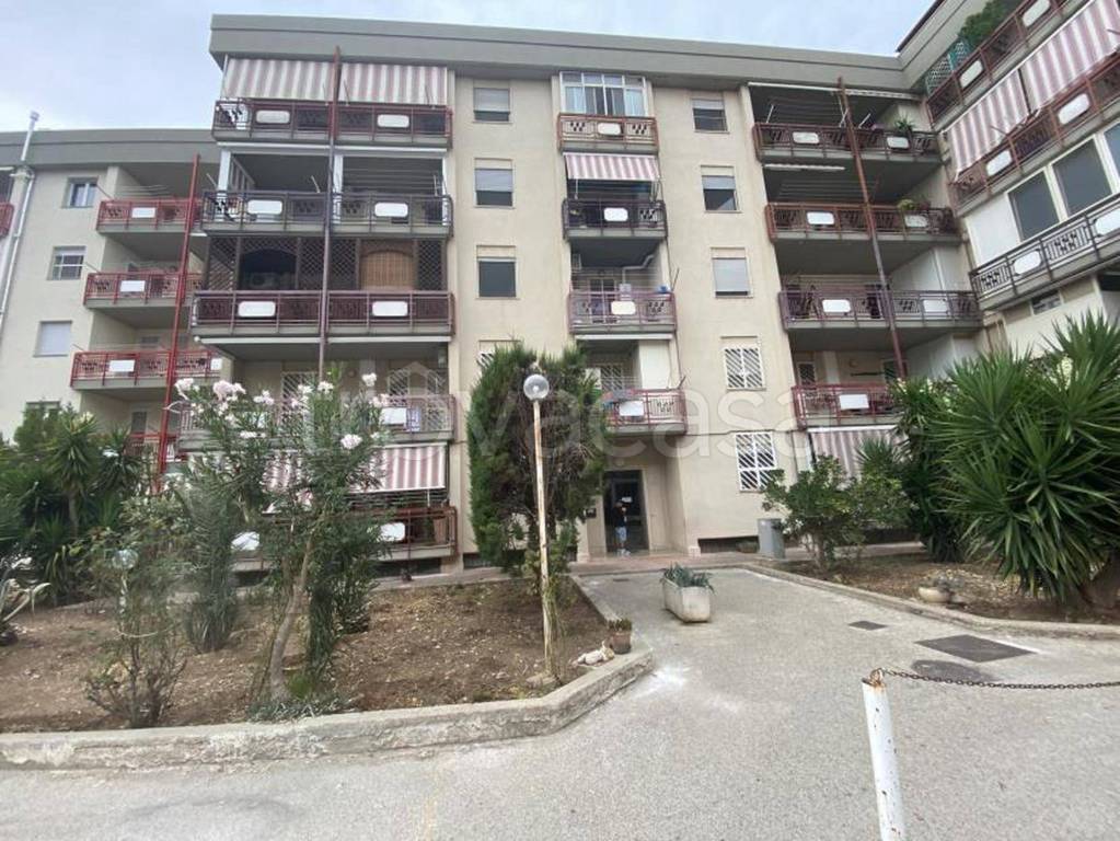 immagine annuncio 2 di 12