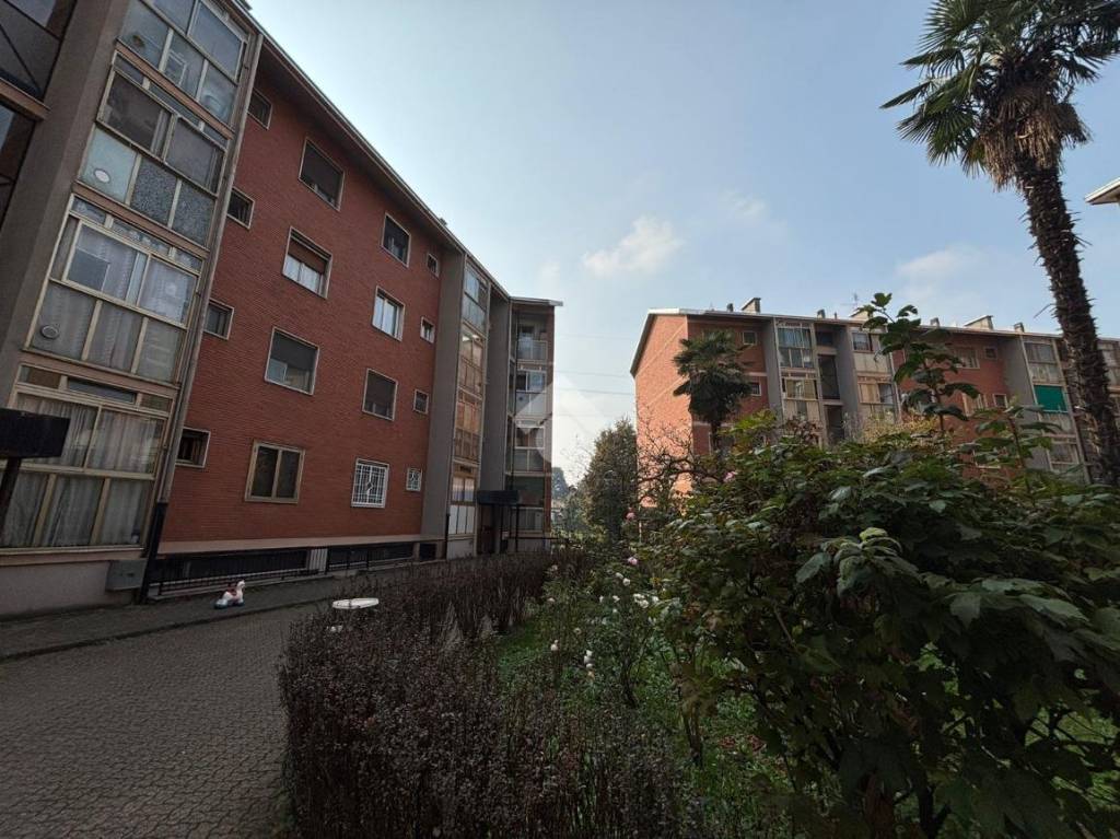 immagine annuncio 6 di 15