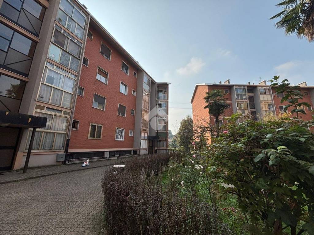 immagine annuncio 7 di 15