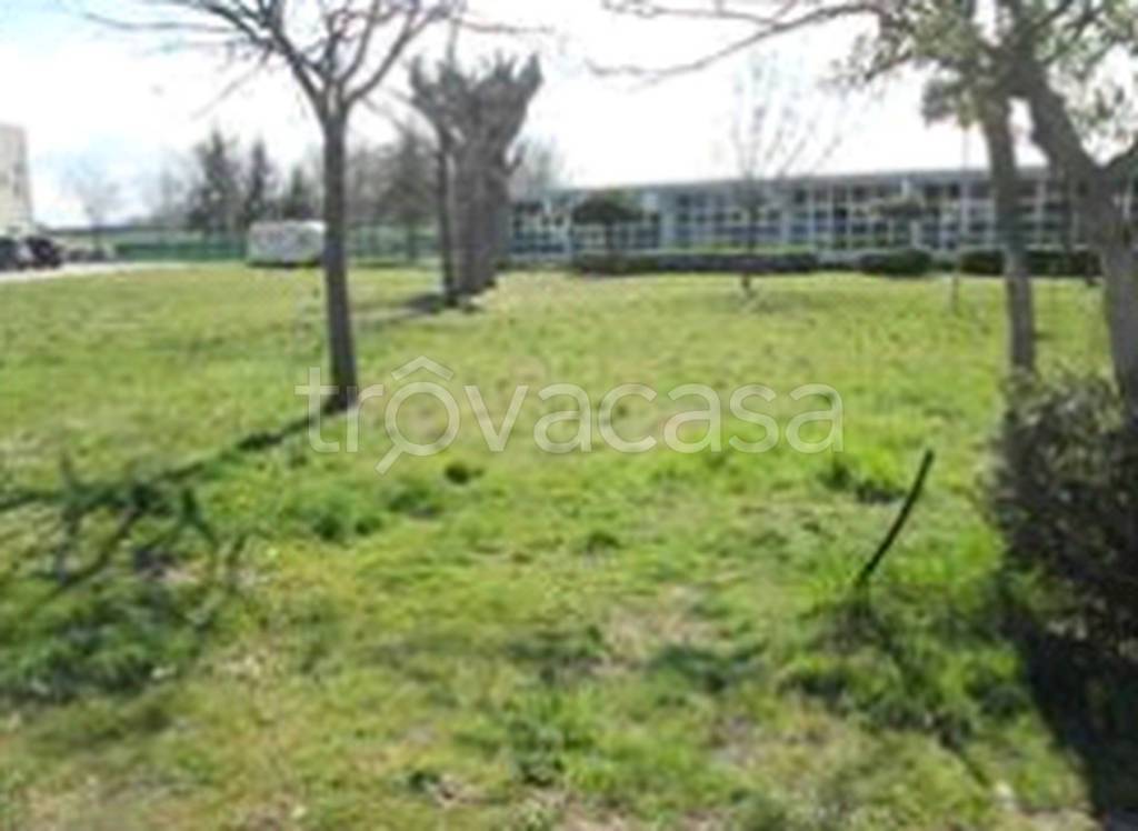 immagine annuncio 7 di 11