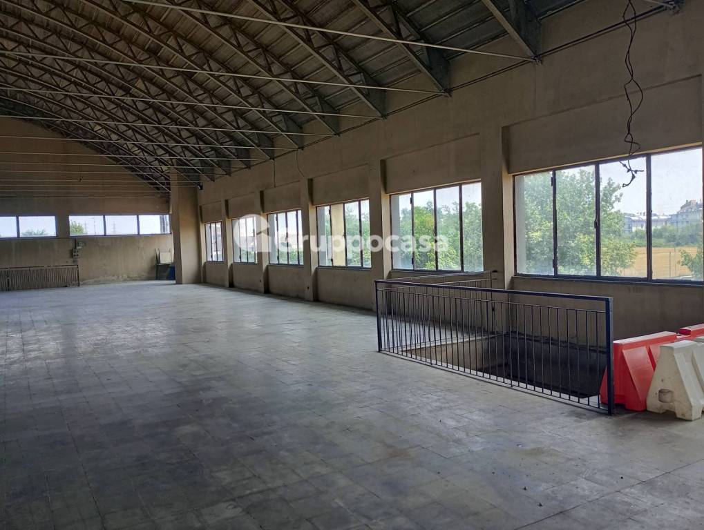 immagine annuncio 3 di 13