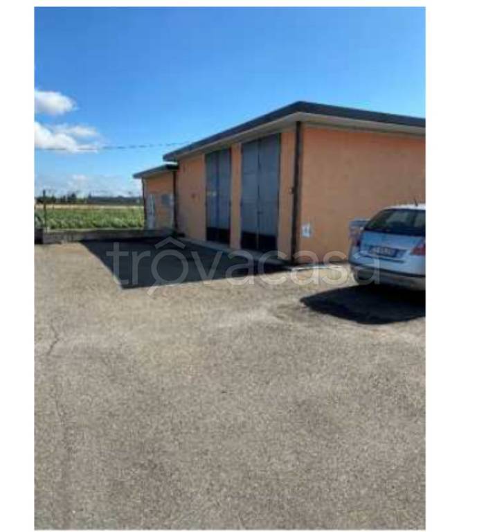 immagine annuncio 4 di 14