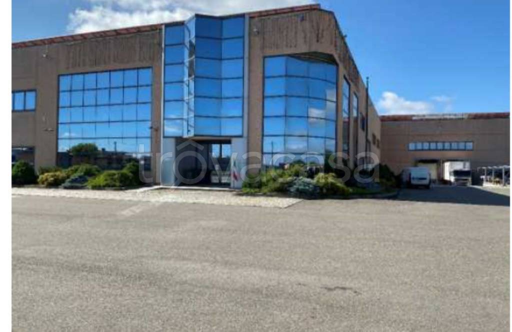 immagine annuncio 10 di 14