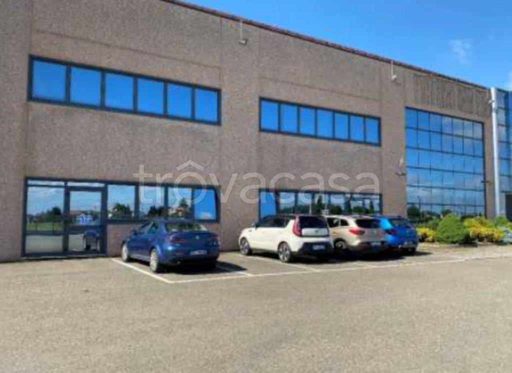 immagine annuncio 11 di 14