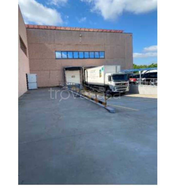 immagine annuncio 12 di 14