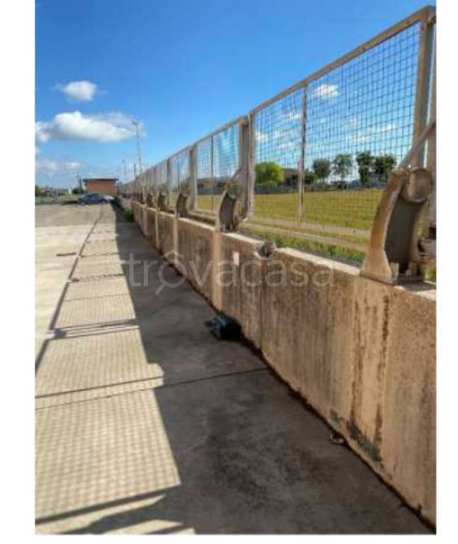 immagine annuncio 13 di 14