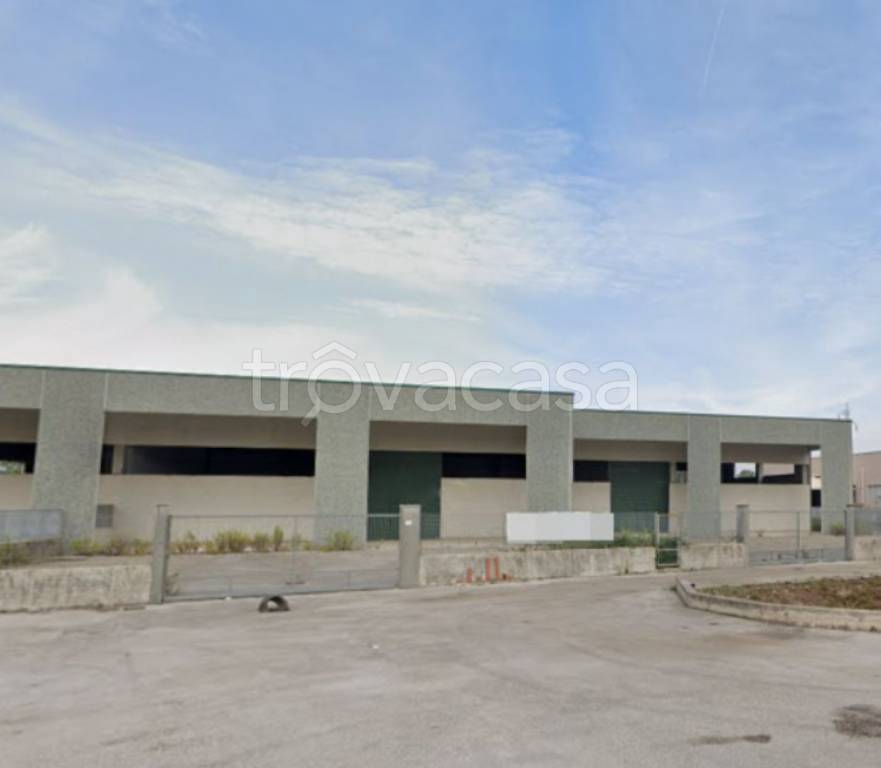 immagine annuncio 1 di 14