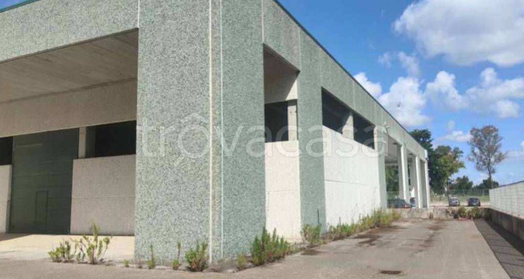 immagine annuncio 2 di 13